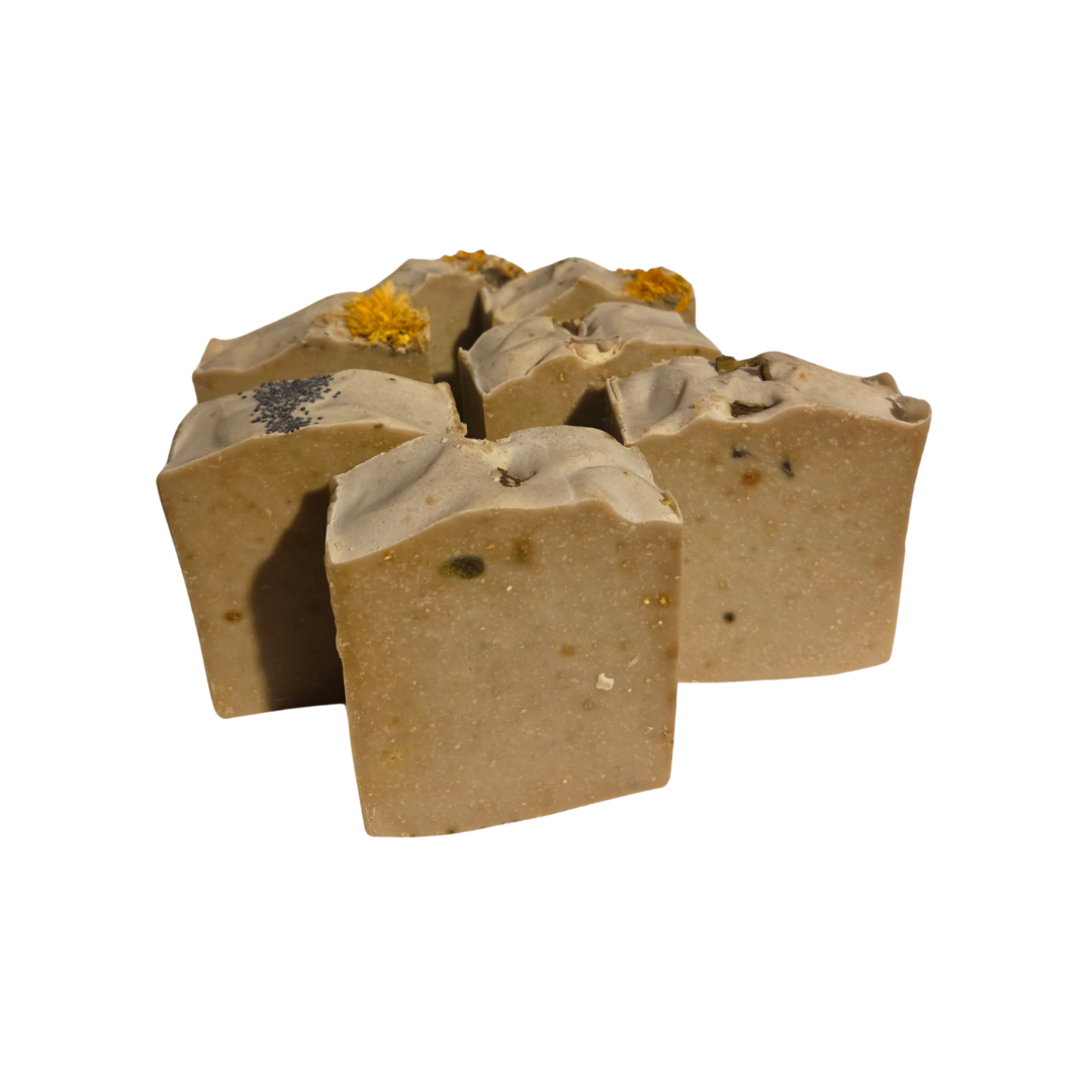 Aloe Vera and Cucumber